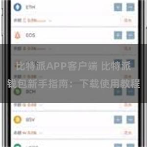 比特派APP客户端 比特派钱包新手指南：下载使用教程