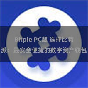 Bitpie PC版 选择比特派：最安全便捷的数字资产钱包