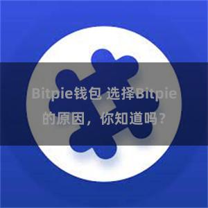 Bitpie钱包 选择Bitpie的原因，你知道吗？