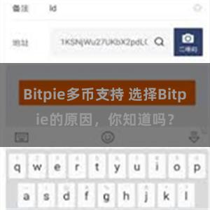 Bitpie多币支持 选择Bitpie的原因，你知道吗？