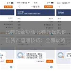 比特派全功能 比特派钱包多链资产管理技巧：全面攻略