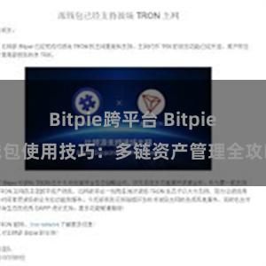 Bitpie跨平台 Bitpie钱包使用技巧：多链资产管理全攻略