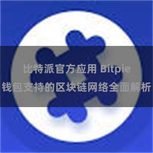 比特派官方应用 Bitpie钱包支持的区块链网络全面解析