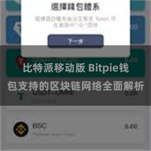 比特派移动版 Bitpie钱包支持的区块链网络全面解析