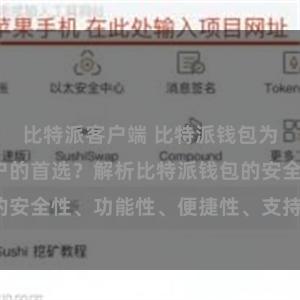 比特派客户端 比特派钱包为何是专业用户的首选？解析比特派钱包的安全性、功能性、便捷性、支持性等优势。