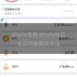 Bitpie支持 Bitpie钱包常见问题解决方法