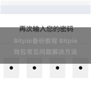 Bitpie备份教程 Bitpie钱包常见问题解决方法