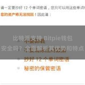 比特派支持 Bitpie钱包安全吗？全面解析其优势和特点