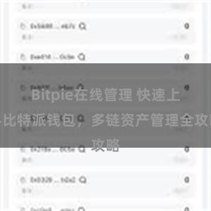 Bitpie在线管理 快速上手比特派钱包，多链资产管理全攻略