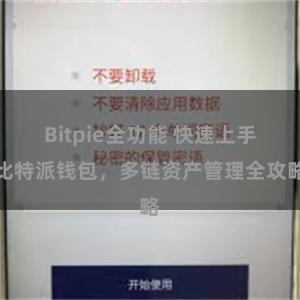 Bitpie全功能 快速上手比特派钱包，多链资产管理全攻略