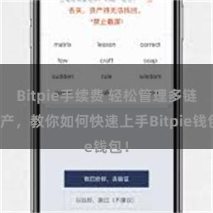 Bitpie手续费 轻松管理多链资产，教你如何快速上手Bitpie钱包！