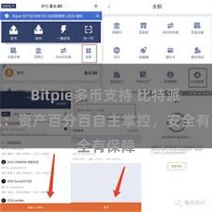 Bitpie多币支持 比特派钱包：资产百分百自主掌控，安全有保障