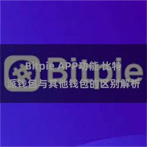 Bitpie APP功能 比特派钱包与其他钱包的区别解析