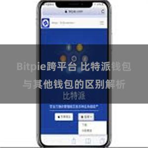 Bitpie跨平台 比特派钱包与其他钱包的区别解析