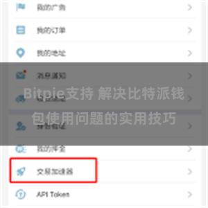 Bitpie支持 解决比特派钱包使用问题的实用技巧