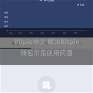 Bitpie中文 解决Bitpie钱包常见使用问题