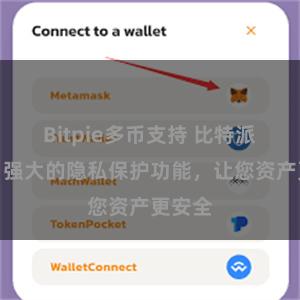 Bitpie多币支持 比特派钱包：强大的隐私保护功能，让您资产更安全