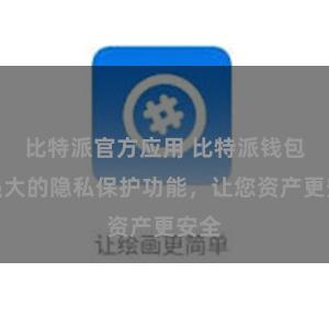 比特派官方应用 比特派钱包：强大的隐私保护功能，让您资产更安全