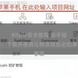 Bitpie安全教程 新手指南：下载并使用比特派钱包必知事项