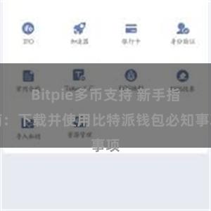 Bitpie多币支持 新手指南：下载并使用比特派钱包必知事项