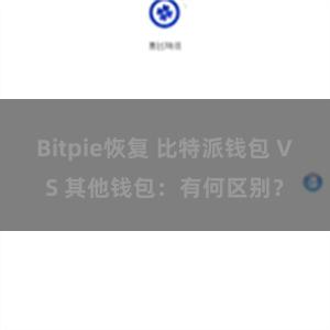 Bitpie恢复 比特派钱包 VS 其他钱包：有何区别？