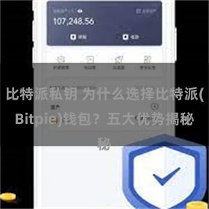 比特派私钥 为什么选择比特派(Bitpie)钱包？五大优势揭秘