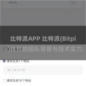 比特派APP 比特派(Bitpie)钱包的团队背景与技术实力