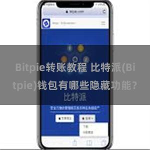 Bitpie转账教程 比特派(Bitpie)钱包有哪些隐藏功能？