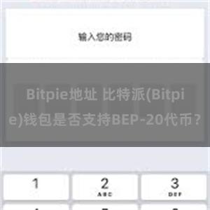 Bitpie地址 比特派(Bitpie)钱包是否支持BEP-20代币？