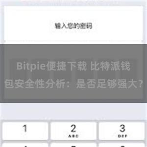 Bitpie便捷下载 比特派钱包安全性分析：是否足够强大？