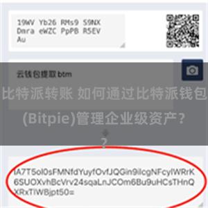 比特派转账 如何通过比特派钱包(Bitpie)管理企业级资产？