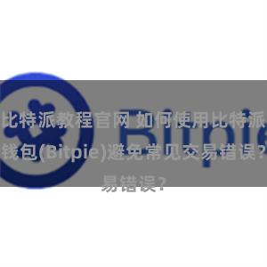 比特派教程官网 如何使用比特派钱包(Bitpie)避免常见交易错误？