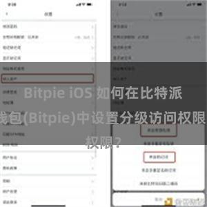 Bitpie iOS 如何在比特派钱包(Bitpie)中设置分级访问权限？