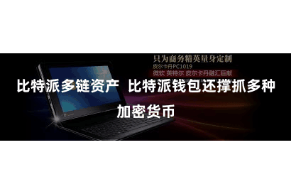 比特派多链资产  比特派钱包还撑抓多种加密货币