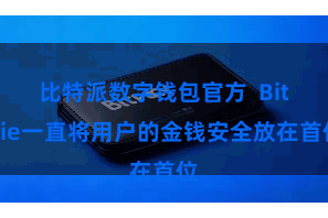 比特派数字钱包官方  Bitpie一直将用户的金钱安全放在首位