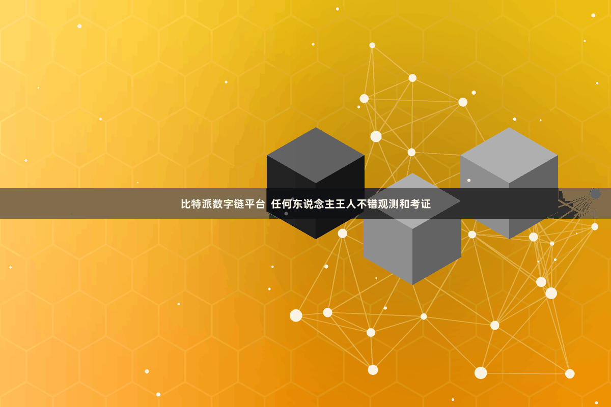 比特派数字链平台 任何东说念主王人不错观测和考证
